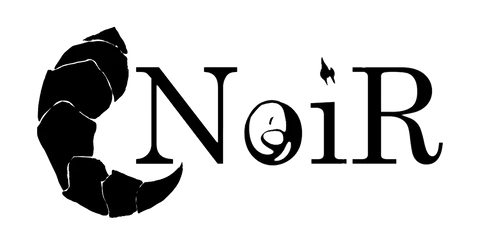 NoiR Clothing